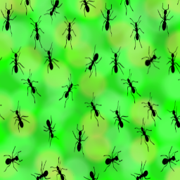 Egg-flat-2026-Fynx-Emerald-Ants.png