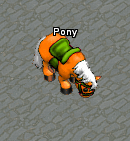 Pumpkin Pony.png