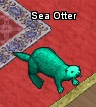 Pets-Oceanic otter.jpg