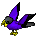 Parrot-black-purple.png