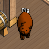 Pets-Chocolate pig.png
