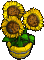 Furniture-Sunflower (desktop)-4.png