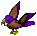 Parrot-purple-brown.png