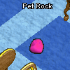 File:Pets-Hot pet rock.png