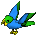 Lime/blue Parrot