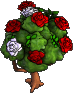 Furniture-Rose bush-4.png