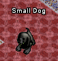 Pets-Small black dog.png