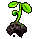 Trinket-Spring sprout.png