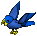 Blue/Navy Parrot