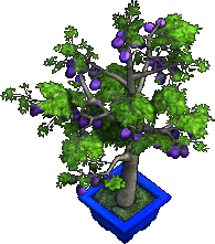 Furniture-Plum Tree.png