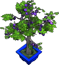 Furniture-Plum Tree-2.png