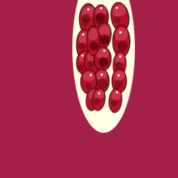 Egg-flat-2026-Nathaliee-Meridian-Pomegranate.png