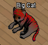 File:Pets-Spicy chocolate tiger.png