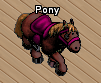 Pets-Wine pony.png