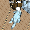 Pets-Ice blue sea otter.png