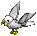 Parrot-white-grey.png