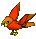 Orange/Persimmon Parrot