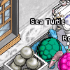 Pets-Deepwater sea turtle.png