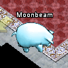 Pets-Ice pig.png