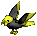 Yellow/Black Parrot
