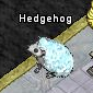Pet-Ice hedgehog.png