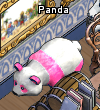 Pets-Passion panda.png