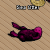 Pets-Wine sea otter.png