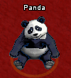 Pets-Black panda.png