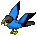 Parrot-black-blue.png