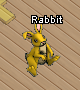Pets-Gold bunny.png