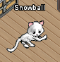 Event-NMPWD1-Snowball.png