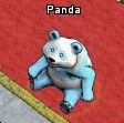 Pets-Frosty panda.jpg
