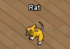 Gold rat.png