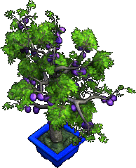Furniture-Plum Tree-4.png