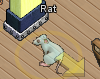 Pets-Ghost rat.png