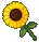 Trinket-Sunflower.png