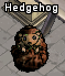 Pet-Hedgehog.png