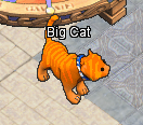 Pets-Pumpkin panther.png