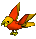 Gold/Persimmon Parrot