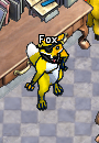 Pets-Patchy fox.png