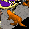 Pets-Orange otter.png