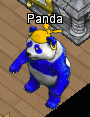 Pets-Princely panda.png