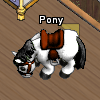 Pets-Chocolate pony.png