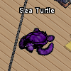 Pets-Plum sea turtle.png