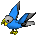 Parrot-grey-blue.png