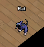 Pets-Shadow rat.png