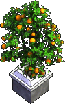 Furniture-Potted orange tree.png