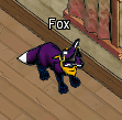 Pets-Firefly fox.png