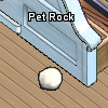 Pets-Pet rock.png