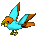 Orange/Light Blue Parrot